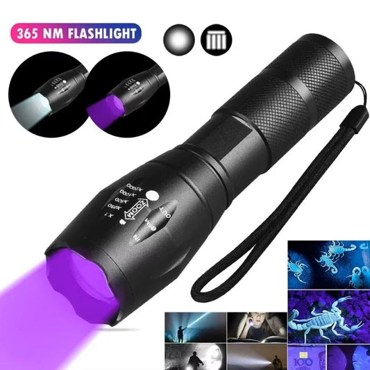2-in-1 Type C Rechargeable UV Flashlight Torch Light 395nm Black Light Portable Ultraviolet Light Pets Blacklight Uv Flashlights