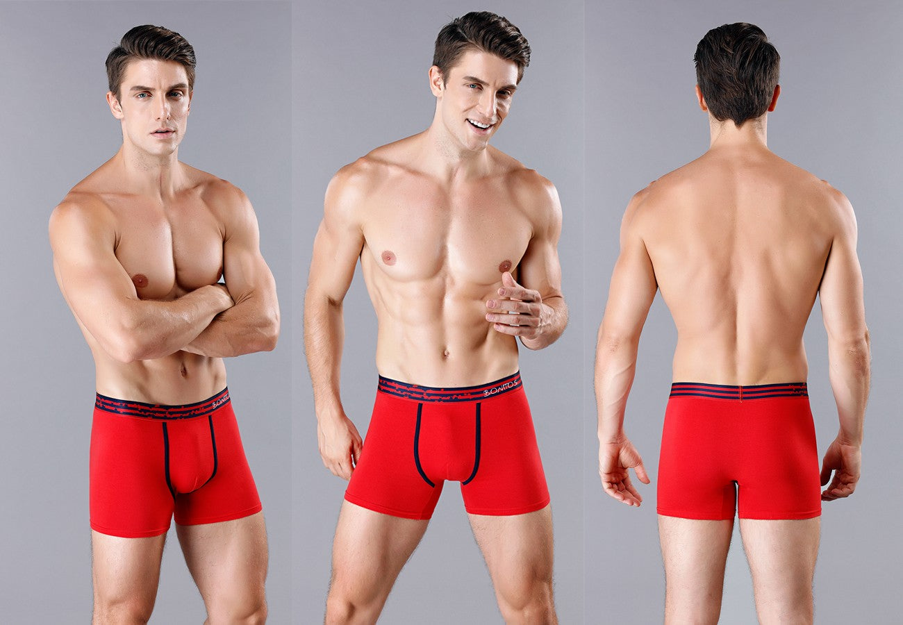 4pcs Cotton Boxers For Man Underwear Slip High Quality Men's Panties Sexy Homme Underpants Boxer Shorts calecon Trunks