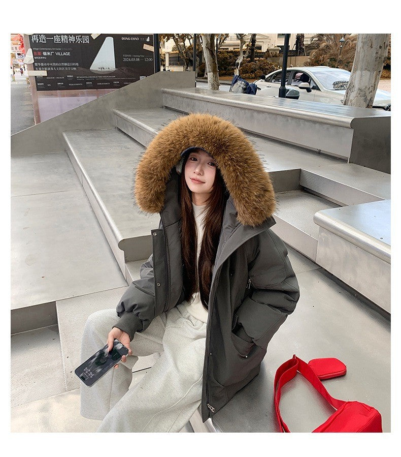 Winter Solid Long Sleeve Hooded Down Cotton Coat Tops Korean Women's Single Breasted Zipper Hooded Cardigan Short Jacket Thick