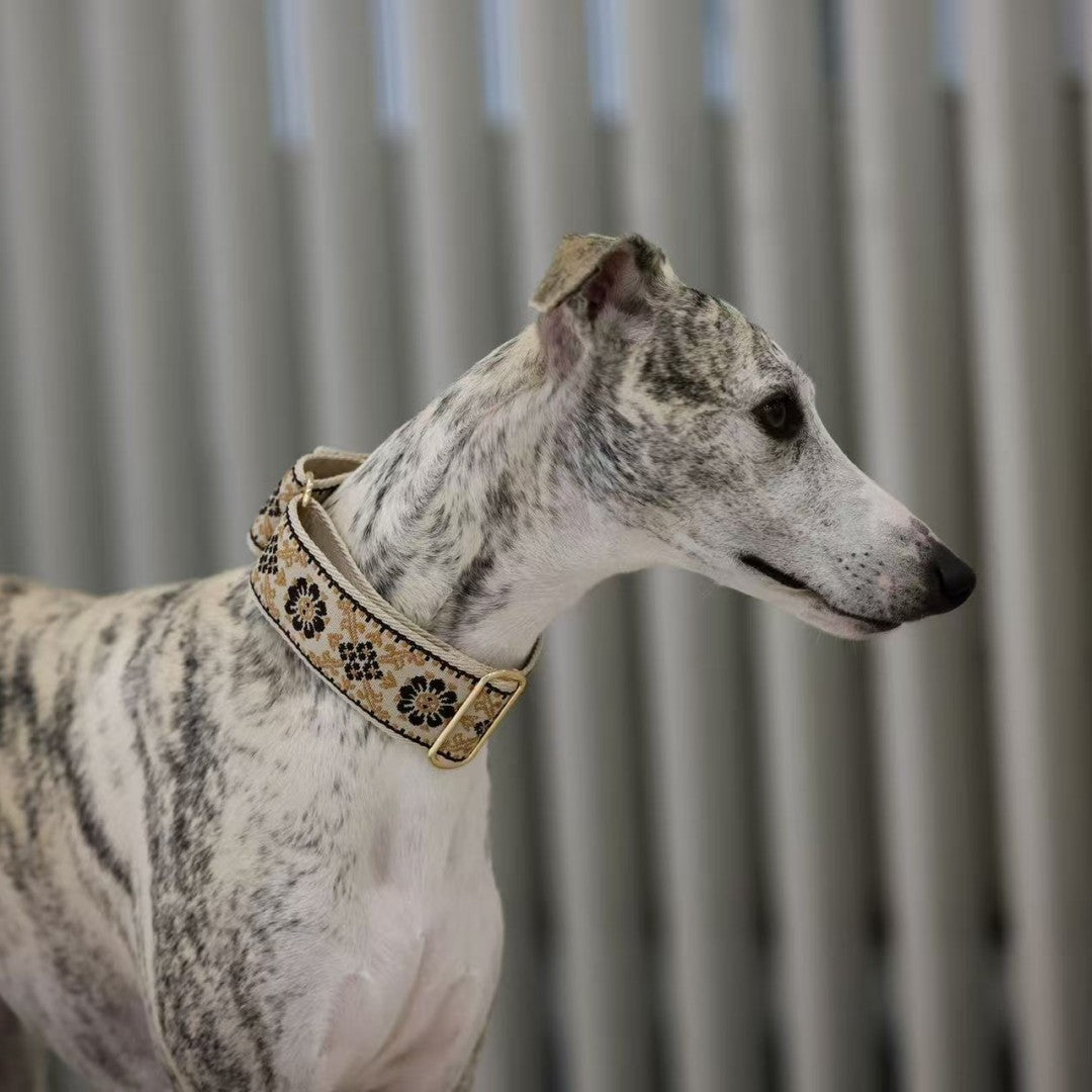 Coleira Martingale para Cães Galinhas / Coleira para Galgo Inglês / Coleira para Galgo Italiano / Coleira para Lurcher / Coleira para Whippet / Coleira para Galgo Espanhol