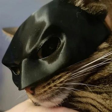 Máscara de Gato Morcego Preta de Halloween Máscara de Morcego Fosca Fofa Brinquedos Pet Legais para Gato Máscaras de Cosplay Engraçadas para Pet Acessórios para Fotos de Pet