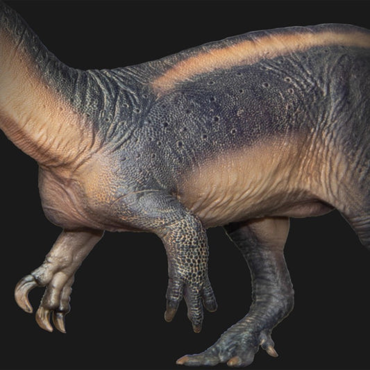 Suchomimus Tabo Dinosaur King Growth Companion Simulation Model 67 Toy Handheld Desktop Ornament Collection Holiday Gifts