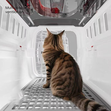Caixa de Transporte para Gatos Aprovada para Companhias Aéreas 2025, Portátil, Aprovada pela TSA para Viagens, Bolsa Antiansiedade para Gatos para Carro e Uso Doméstico