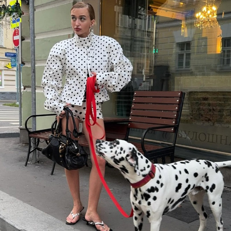 Polka Dot Stand Neck Short Jackets Women Fashion Long Sleeve Patchwork Contrast Slim Coats Casual Lady Street Commute Outerwear