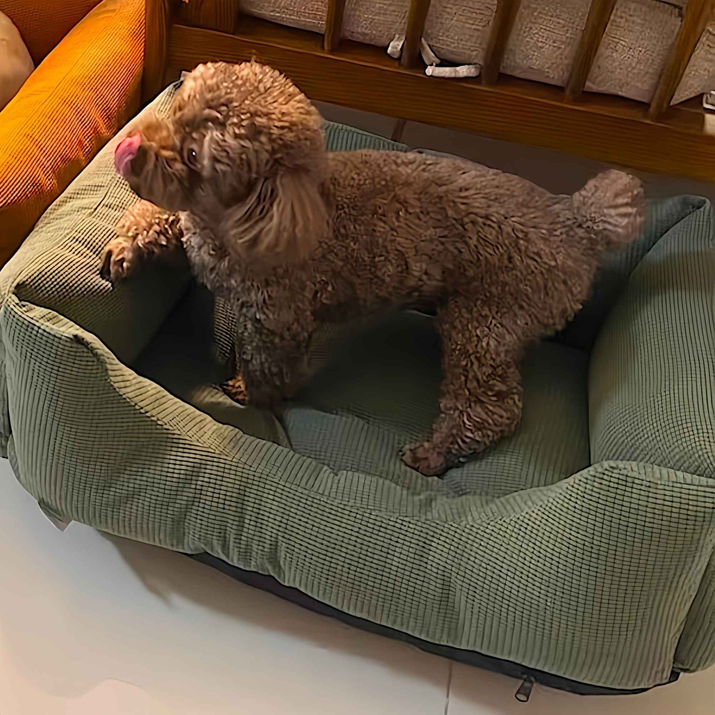 Colchão para Animais de Estimação de Inverno Engrossado, Cama de Gato Quente de Veludo Cotelê, Cama de Cachorro com Cobertura, Almofada para Dormir para Filhotes de Cães Pequenos e Gatinhos Cuscino