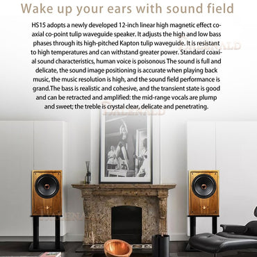 hifi speak Banlong high-end fevergrade 12-inch coaxial bass bookshelf hifi bookshelf speakers high-fidelity passive audio veneer