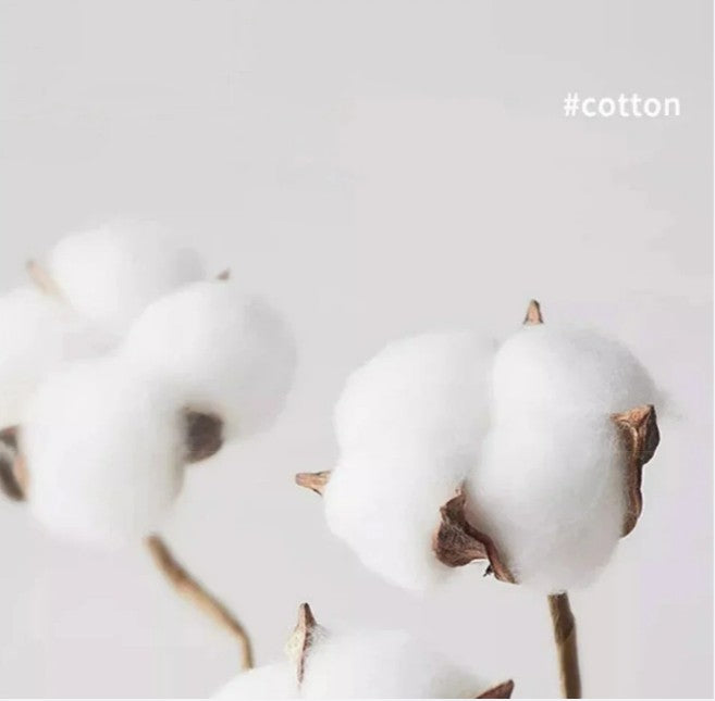 2025 Summer CHCH Cotton T-shirt Base Basic Fashion Solid Women's Short-sleeved Loose White Top Shirt Top 2k Hot