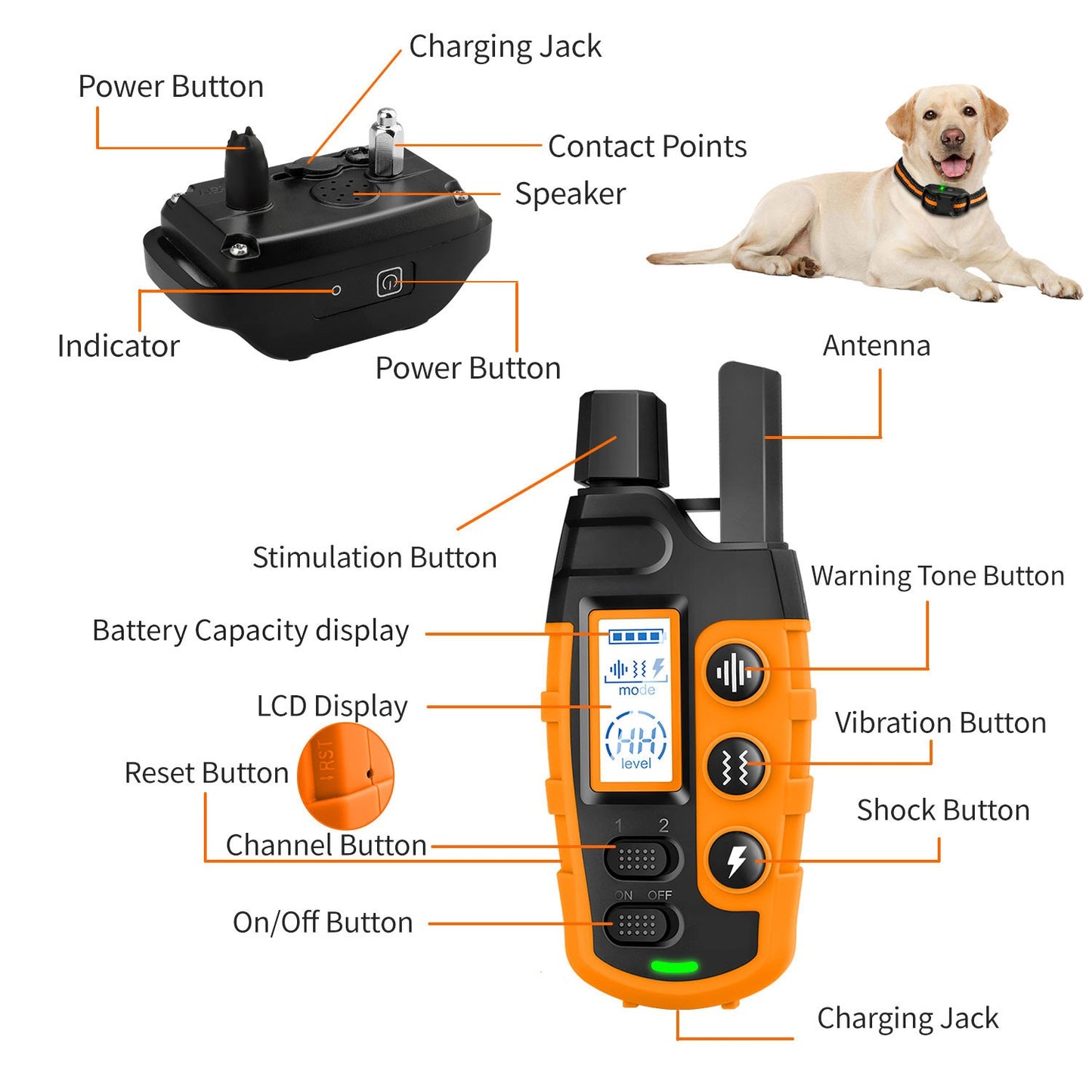 Coleira de Treinamento Elétrica para Cães 3300 Pés Controle Remoto à Prova D'água para Animais de Estimação de 5-120 lbs com Choque e Vibração