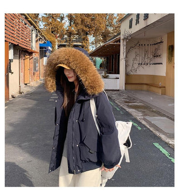 Winter Solid Long Sleeve Hooded Down Cotton Coat Tops Korean Women's Single Breasted Zipper Hooded Cardigan Short Jacket Thick
