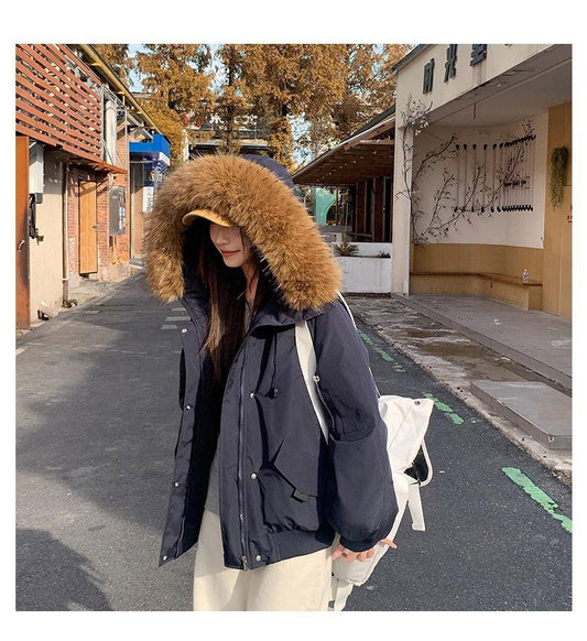 Winter Solid Long Sleeve Hooded Down Cotton Coat Tops Korean Women's Single Breasted Zipper Hooded Cardigan Short Jacket Thick