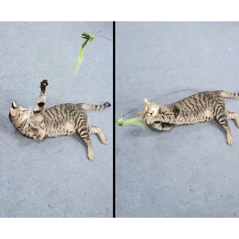1p Brinquedo para Gato Simulação Pássaro Substitui Cabeça Varinha de Provocação Interativa para Gatos Brinquedo Interativo para Pets