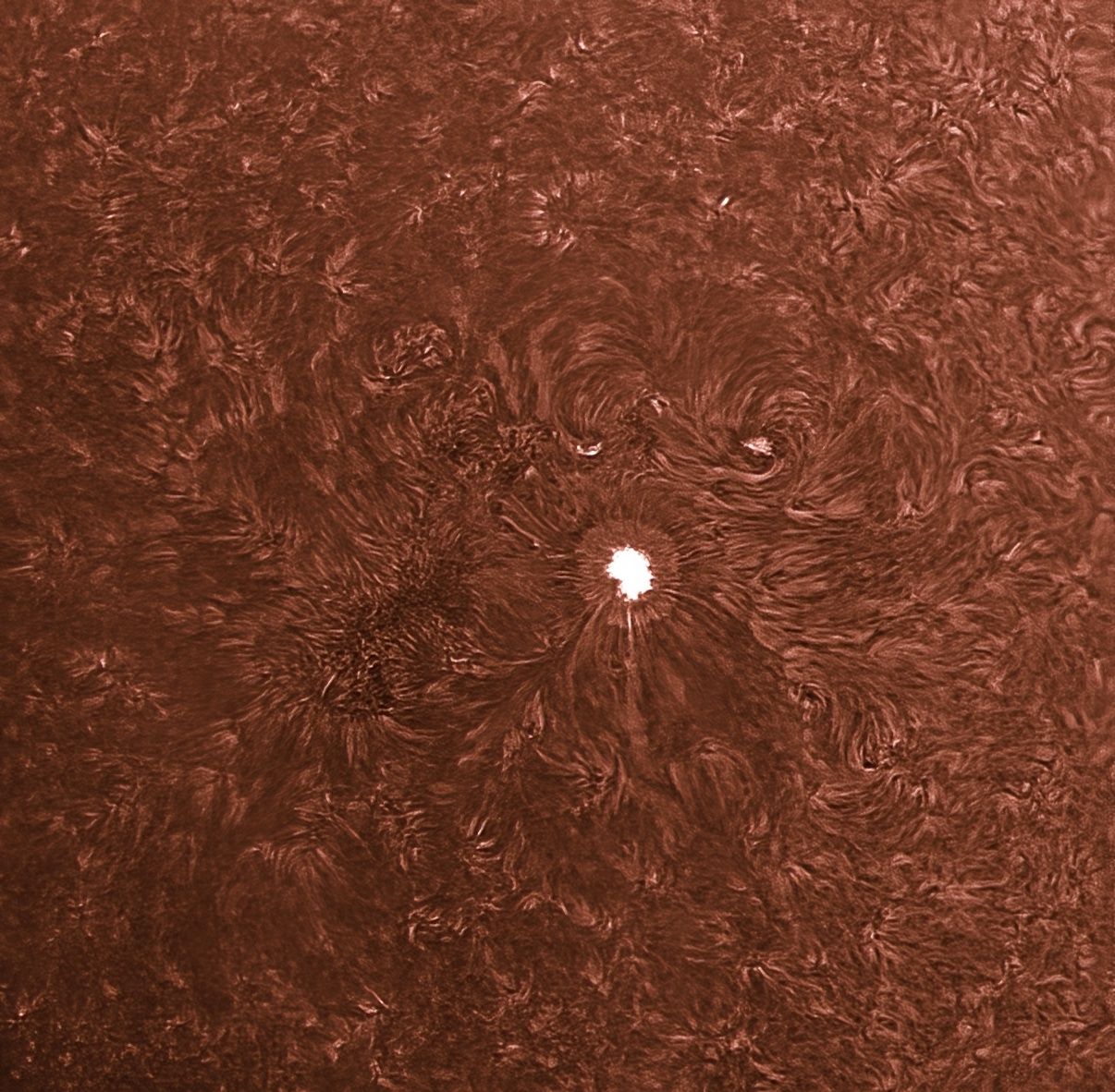Telescópio Refrator Svbony SV503 102ED OTA com Espelho Diagonal SV223 de 2 polegadas e 90 graus para Astrofotografia de Céu Profundo