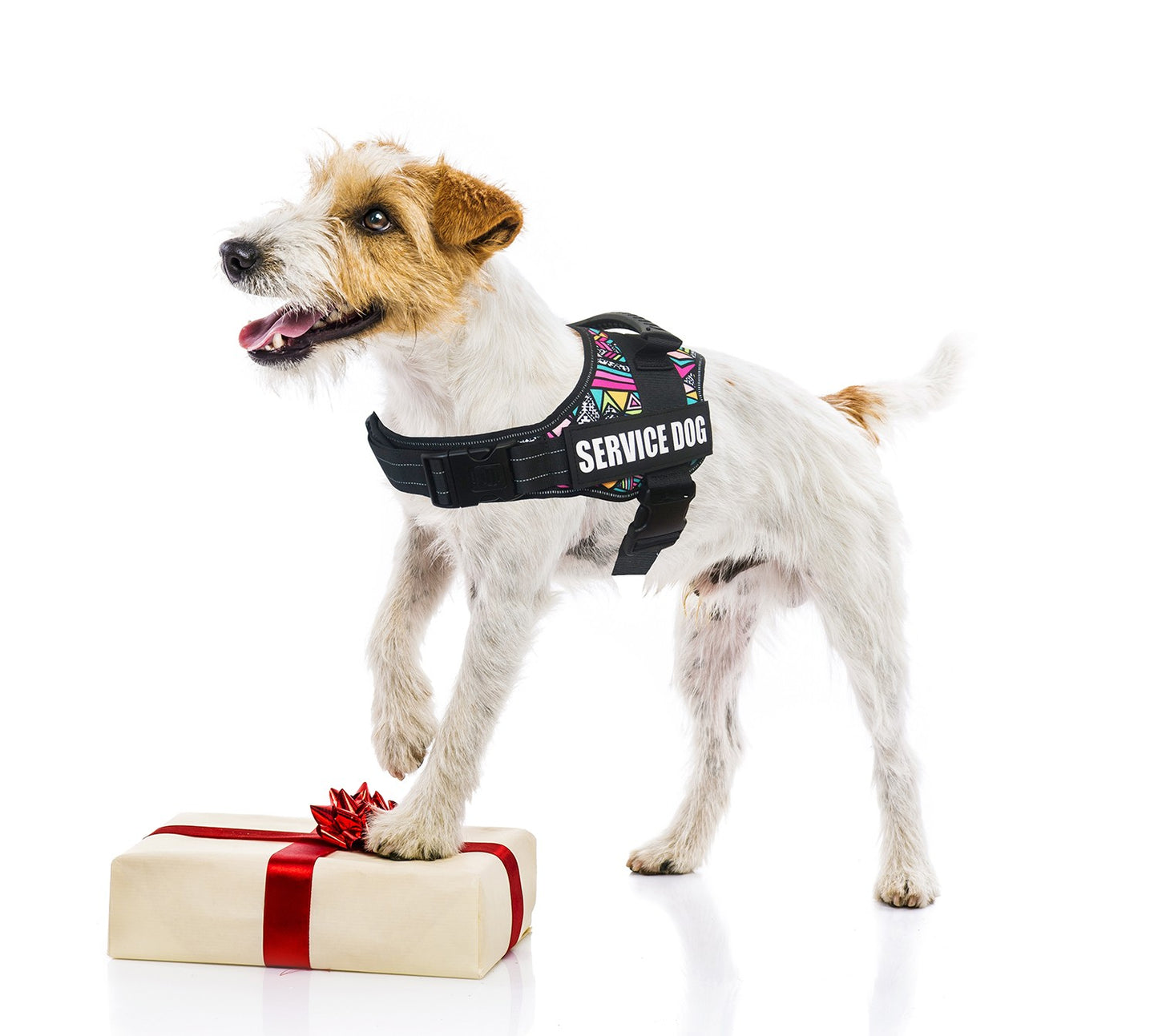 Colete Favorito de Suporte Emocional e Cão de Serviço com Arnês Para Cães de Estimação Com Patches Refletivos Removíveis Para Cães Grandes e Médios