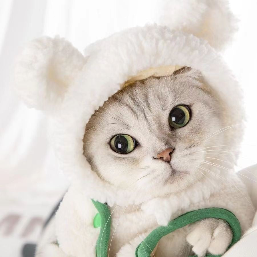 Urso Fofo Coelho Capuz Acessórios para Cães e Gatos de Estimação Cosplay Chapéu de Gato Inverno Lindo Ano Novo Gorro para Filhotes Veludo Macio Suprimentos para Animais de Estimação