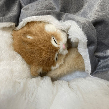 Cama Ortopédica Para Cães Filhotes Gatos Casa de Inverno Tapete Quente Almofada Canil Para Cama Interna Para Cães Produtos Para Sofás de Animais Casas e Habitats