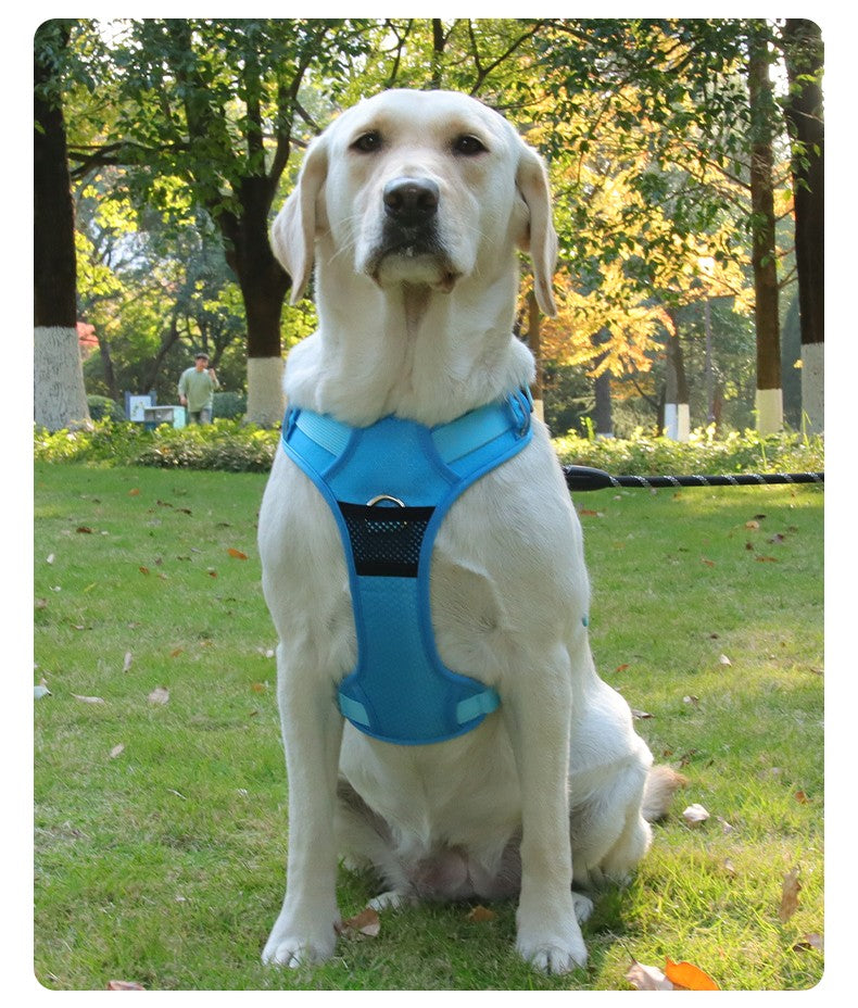 Colete Peitoral para Cães Sem Puxar, Reflexivo, Nylon, Ajustável, para Cães de Porte Médio e Grande, Colete de Segurança Veicular para Caminhada e Corrida.