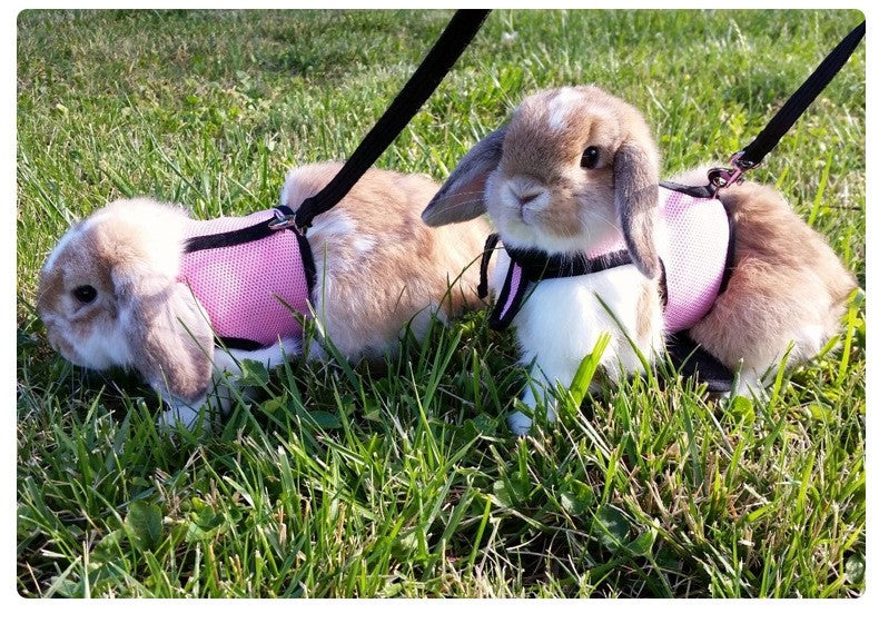 Conjunto de coleira e colete para coelhos, colete respirável para coelhos, furões, porquinhos-da-índia, esquilos, coleira macia e ajustável para animais de estimação pequenos