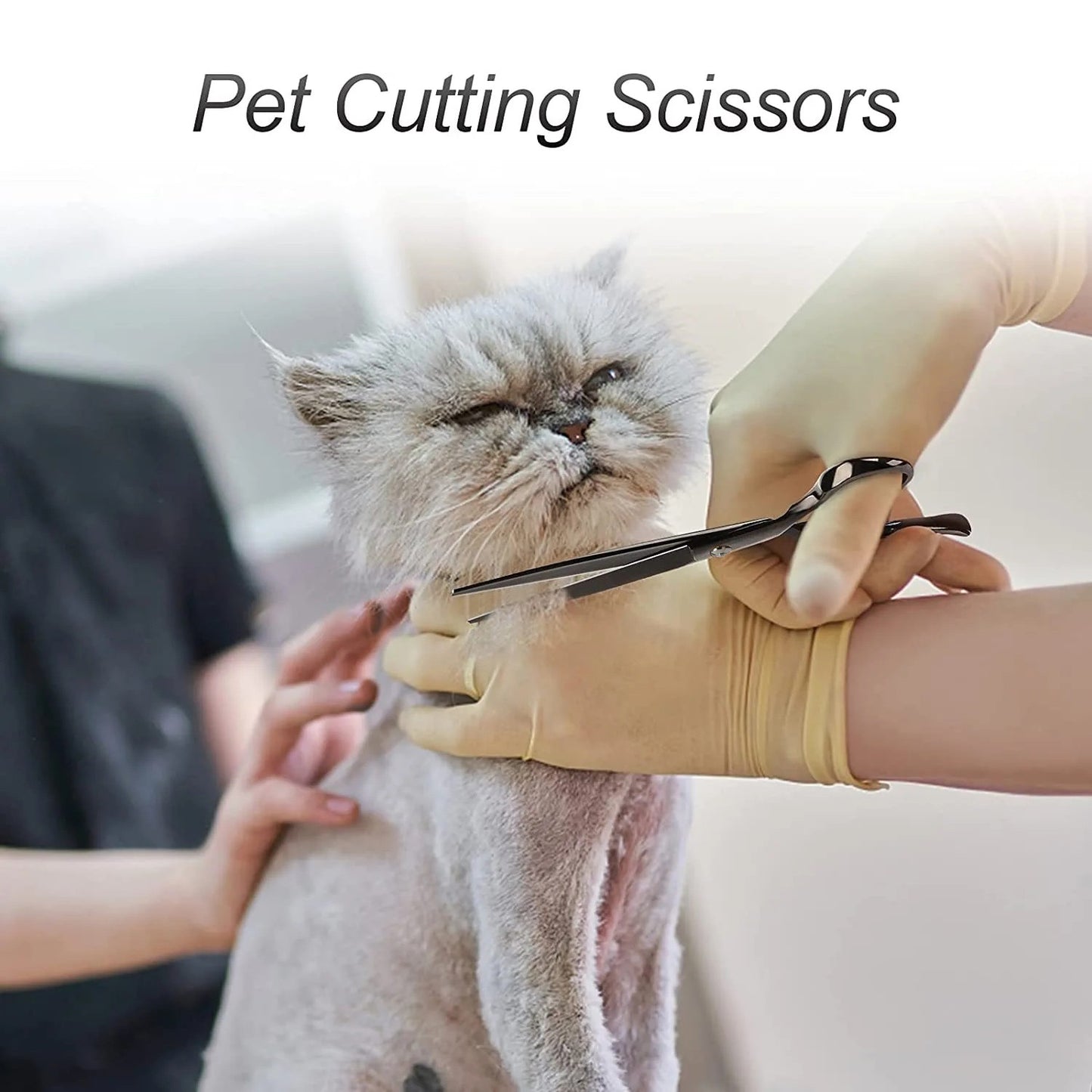 Kit de Tesouras de Aço Inoxidável para Tosa de Animais de Estimação para Destros - Conjunto de 4 Peças com Pontas Redondas de Segurança para Cães e Gatos