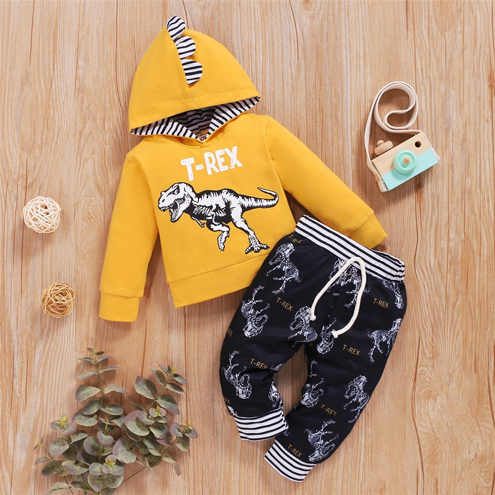 Newborn Baby Boy Autumn&Winter Clothes Set Dinosaur Printed Hooded Long Sleeved Top+Pants Toddler Boy Casual Outfit for Age 0-3