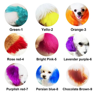 Creme Tinta Para Cães E Gatos 150g Frasco Grande Com Variedade De Cores Puras Tinge Bichon Teddy