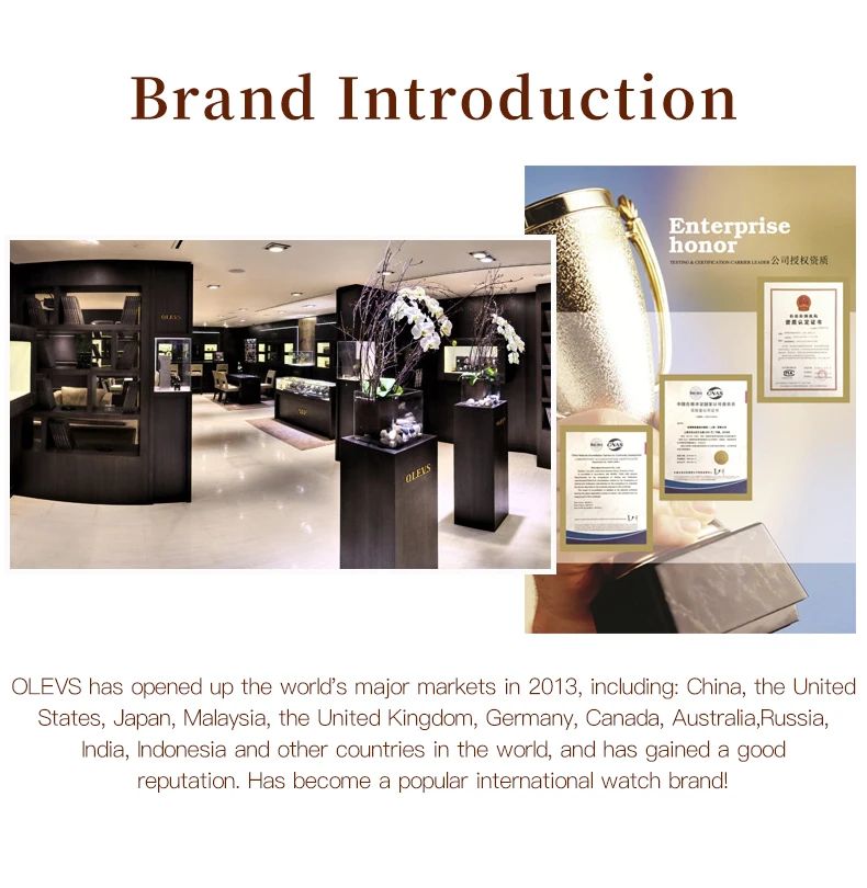 OLEVS Watch Women Fashion Elegant Stainless Steel Waterproof Quartz Wristwatch Luxury Ladies Dress Watches