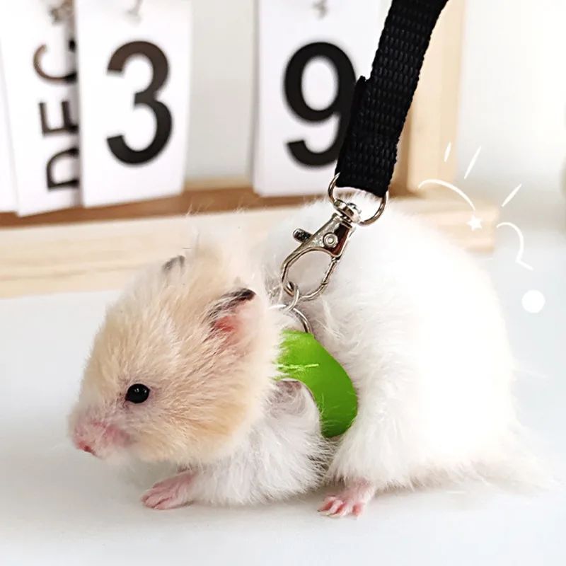 4 peças/conjunto de coleira + guia Sugar Quoll à prova de fugas ajustável para animais de estimação pequenos, hamsters, sugar gliders, esquilos