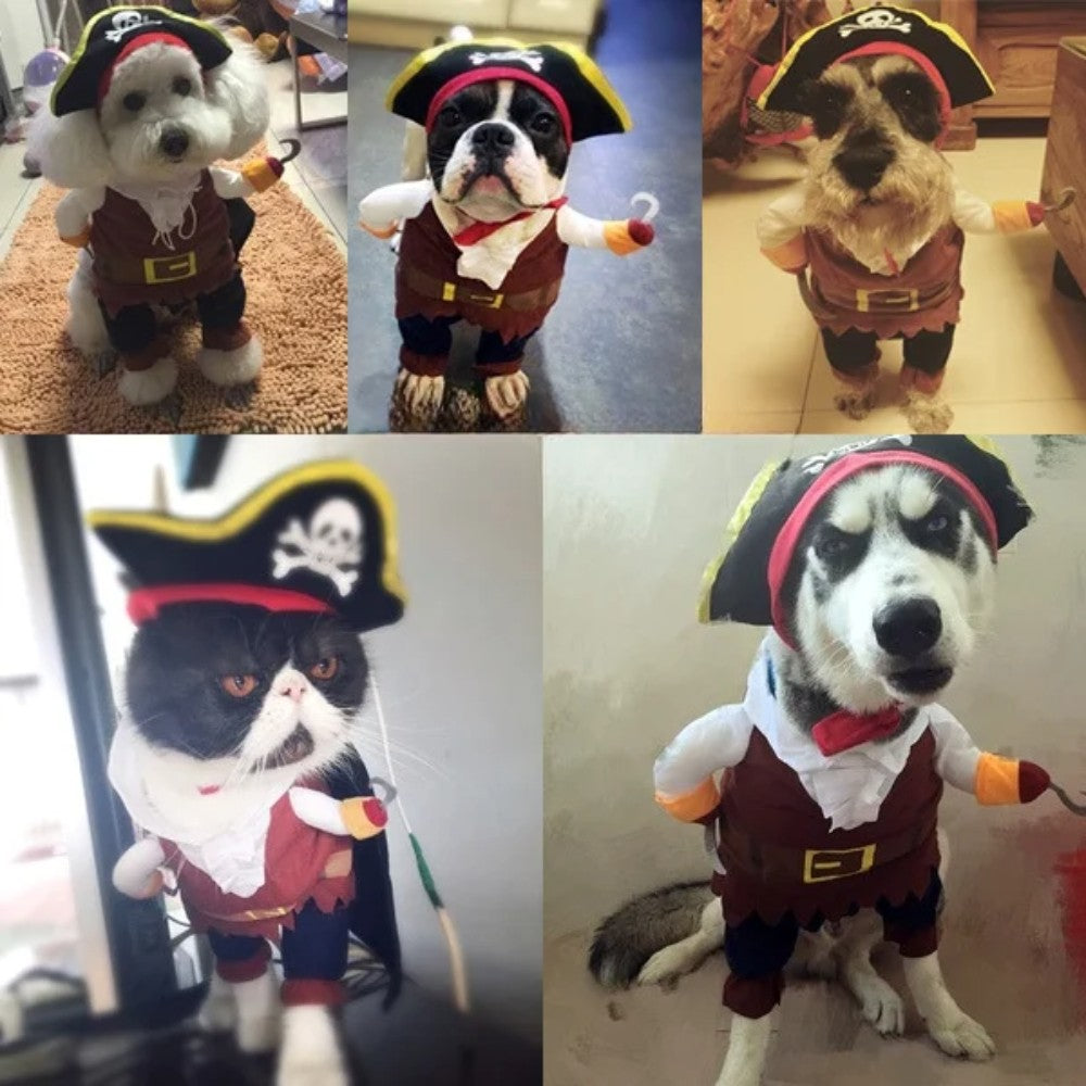 Conjunto de Roupas para Cães Fantasia de Pirata para Animais de Estimação Roupa de Pirata para Cachorro Teddy Fantasias de Halloween