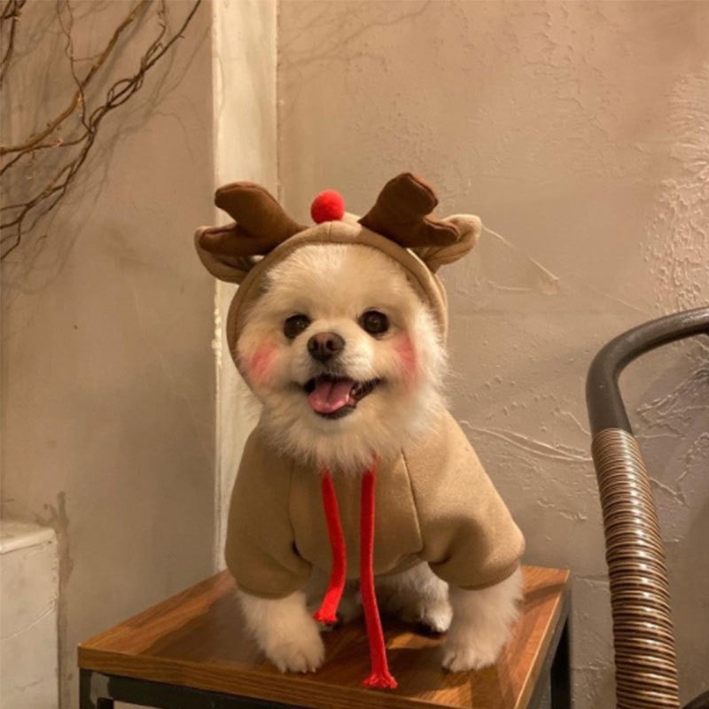Roupas Pet Cosplay Moletom Para Cães Pequenos Casaco Jaqueta Fantasia Gatinho Chihuahua Yorkie