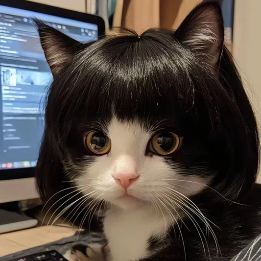 Peruca para Animais de Estimação, Peruca para Cachorro, Suprimentos para Animais de Estimação, Acessórios de Halloween para Animais de Estimação, Peruca de Cabelo Cacheado, Cabelo Liso, Peruca para Gato, Pode Ser Aparada (DIY)