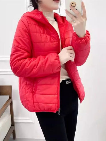 Minimalist Light Weight Women Down Cotton Jackets 2024 New Winter Korean Style Hooded Quilted Parkas Female Windbreaker Outwear