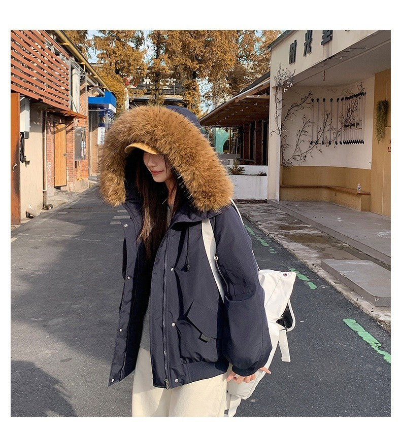 Winter Solid Long Sleeve Hooded Down Cotton Coat Tops Korean Women's Single Breasted Zipper Hooded Cardigan Short Jacket Thick
