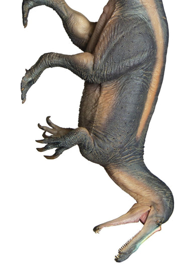 Suchomimus Tabo Dinosaur King Growth Companion Simulation Model 67 Toy Handheld Desktop Ornament Collection Holiday Gifts