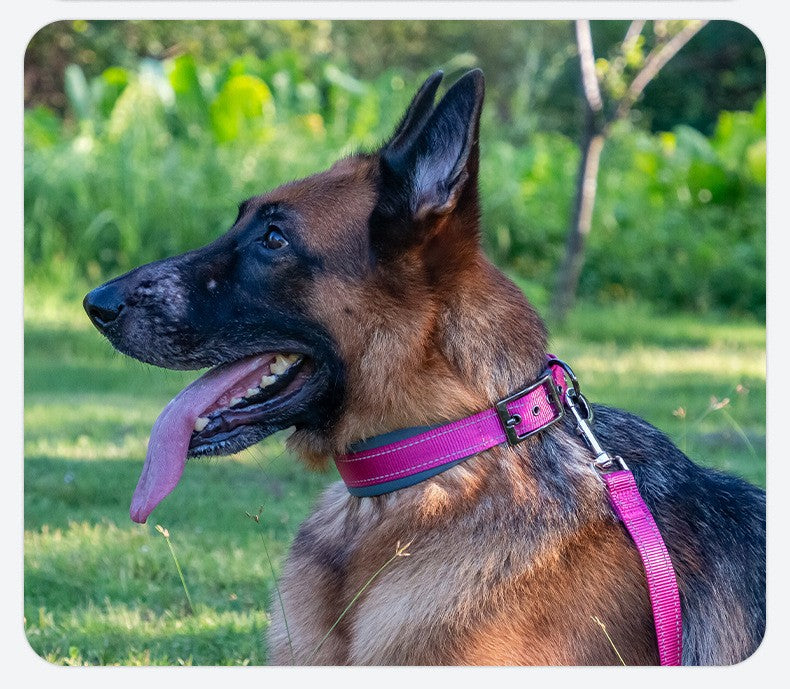 Coleira de cachorro para ambientes externos Fivela de metal Coleira de nylon respirável Coleira de pescoço de alta qualidade para cães de médio e grande porte