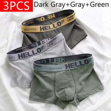 5PCS Boxer Panties Men Letter Underwear Trunks Sexy Underpant Comfortable Breathable Soft Cotton Panties Boxer Shorts Plus Size