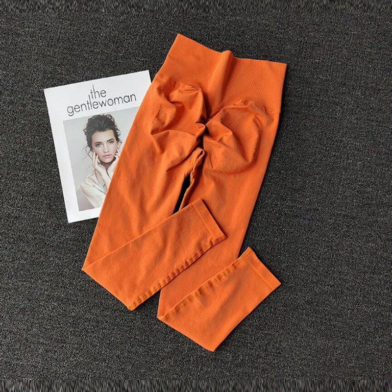 Seamless Sport Yoga  High Waist Pants Leggings Sport See Through Yoga Gym Runnin