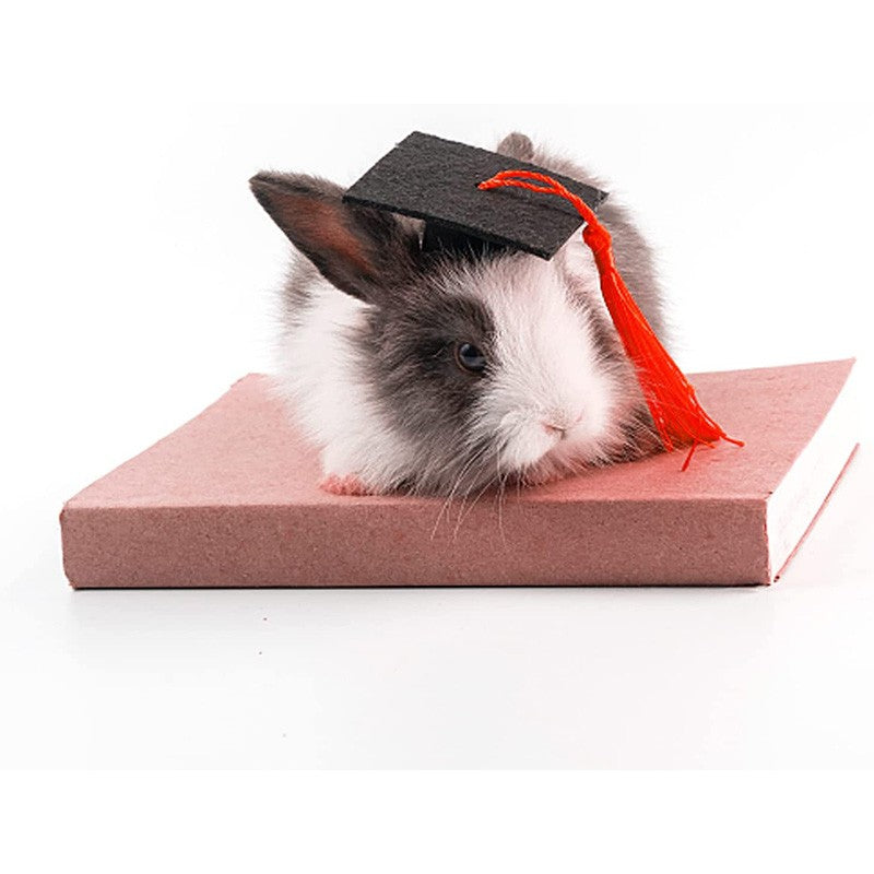 Chapéu de Formatura Pequeno Animal Mini Chapéu de Bacharel com Borla Boné de Estimação Fofo Gravata Borboleta para Gatinho Hamster Acessório de Fantasia para Fotos