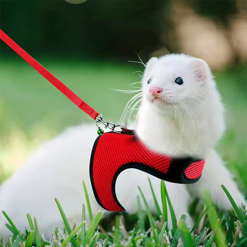 Arreio estilo colete para animais de estimação, respirável e estiloso, com alça macia ajustável e conjunto de coleira elástica, adequado para coelhos e gatos
