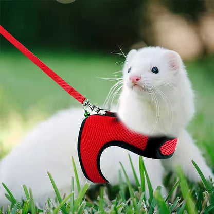 Arreio estilo colete para animais de estimação, respirável e estiloso, com alça macia ajustável e conjunto de coleira elástica, adequado para coelhos e gatos