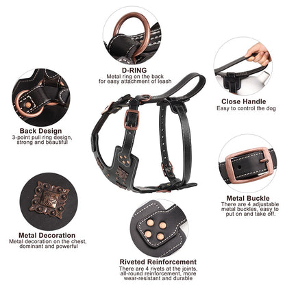 Coleira de Couro Genuíno para Cães, Arnês Durável para Cães Grandes, Coleiras Rebited para Treinamento de Animais de Estimação com Acessórios de Metal para Cães de Médio e Grande Porte