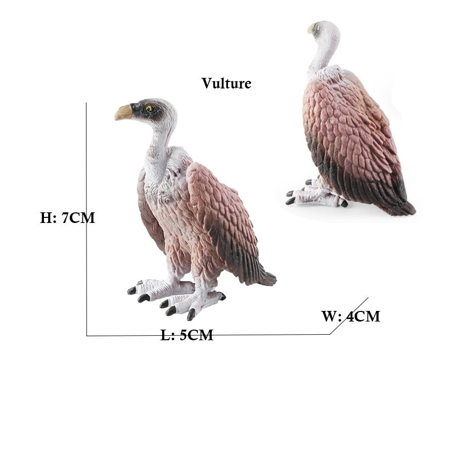 Coruja Flamingo Peru Tucano Seahawk Modelo Animais Estatuetas Plástico Pássaro Brinquedo Boneco de Ação Aventuras na Selva Presentes para Crianças Zoológico da Floresta
