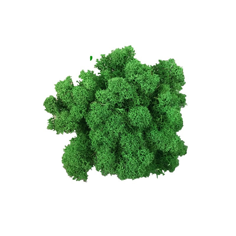 200/1000g Quality Artificial Green Plant Eternal Life Moss Fake Flower Moss Grass Home Living Decorative Wall DIY Micro Landscap