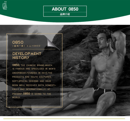 BS 4PC/LOT Men Briefs Sexy Underwear Male Underpants Men's Sexy Breathable Brief Pants Comfortable Men Briefs Underwear Cotton