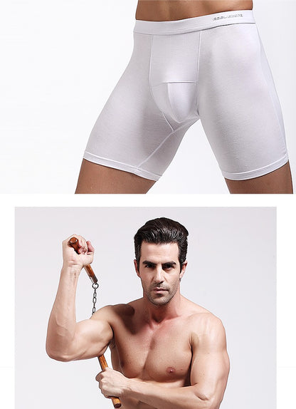 Men's Long Leg Boxer Briefs - Anti-Chafing, Breathable Modal Underwear, Quick-Dry Sports Compression Shorts for Running & Workou