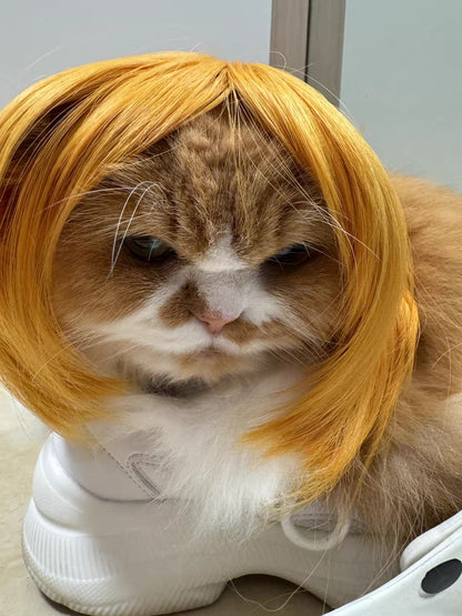 Peruca para Animais de Estimação, Peruca para Cachorro, Suprimentos para Animais de Estimação, Acessórios de Halloween para Animais de Estimação, Peruca de Cabelo Cacheado, Cabelo Liso, Peruca para Gato, Pode Ser Aparada (DIY)