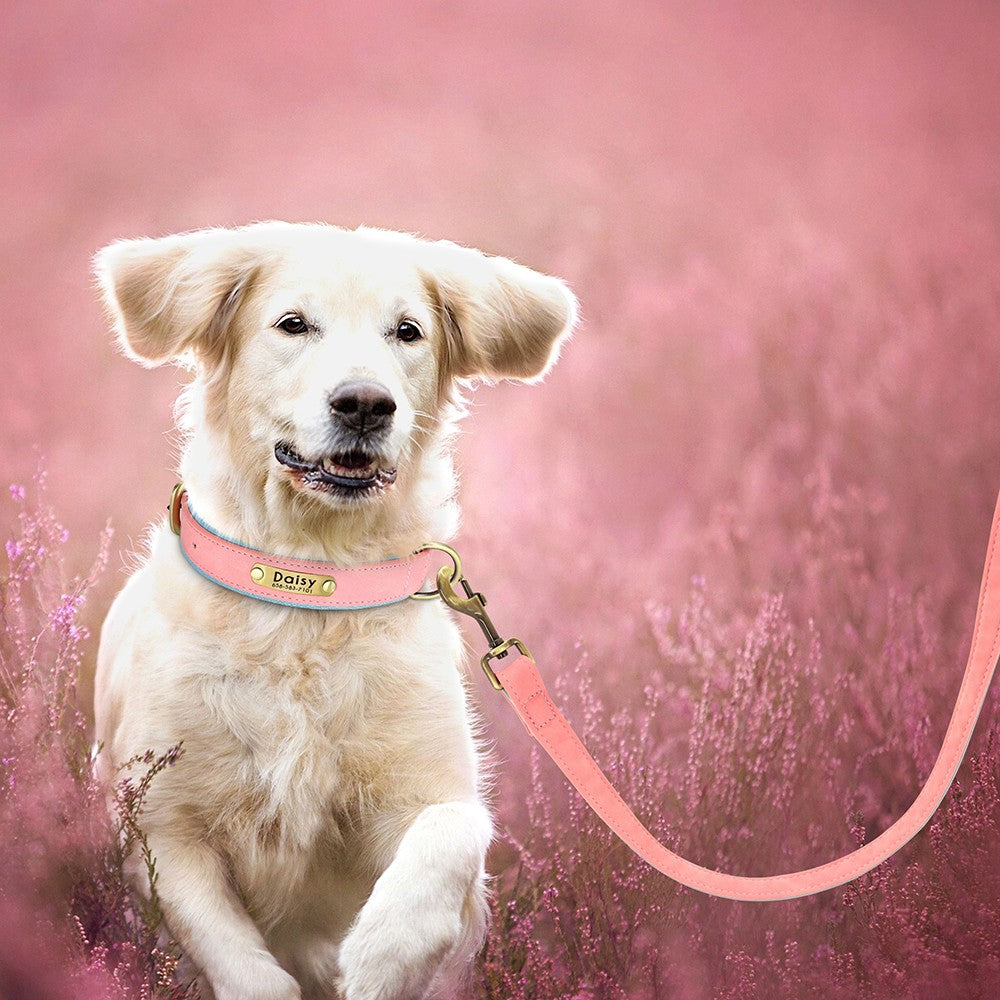 Conjunto Personalizado de Coleira e Guia de Couro para Cães Coleira de Couro Acolchoada Macia para Cães de Pequeno, Médio e Grande Porte com Placa de Identificação Grátis