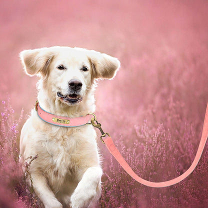 Conjunto Personalizado de Coleira e Guia de Couro para Cães Coleira de Couro Acolchoada Macia para Cães de Pequeno, Médio e Grande Porte com Placa de Identificação Grátis