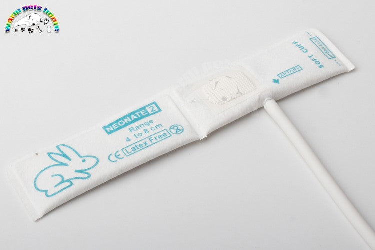 Braçadeira de pressão arterial para animais Braçadeira de medição de pressão arterial de mangueira de PVC para camundongos, gatos, cães e ovelhas
