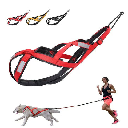 Coleira de Peito para Cães, Arnês para Treinamento de Peso, Cinta de Tração, Huskies, Samoieda, Trenó, Neve, Corda de Tração para Snowboard