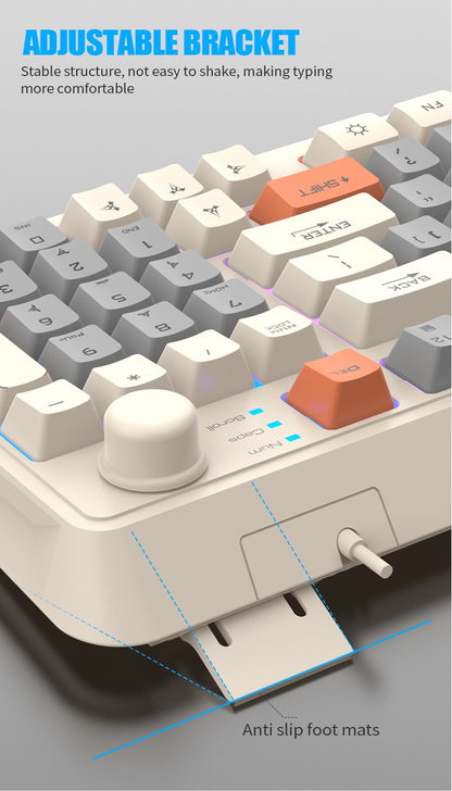 60% wired gaming keyboard, RGB backlight ultra compact mini keyboard, waterproof small compact 61 key keyboard for pc/Mac gamers