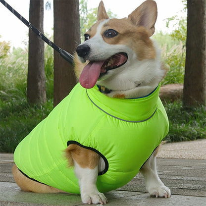 Autumn Winter New Double-Sided Warm Dog Cotton Clothes Pet Clothes One Piece through the Winter Dog Clothes